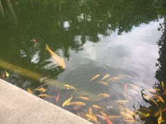 -嘉和K6温泉微度假