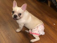 -Meowの猫咖(万家丽店)