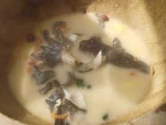 -滇小鱼·云南野生菌火锅(上杭路店)