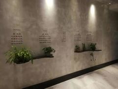 -金尚源SHANG