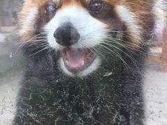 -水绘园