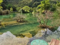 -靖西鹅泉风景区
