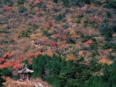 -香山公园-东宫门售票处