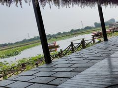 -焦岗湖旅游度假区