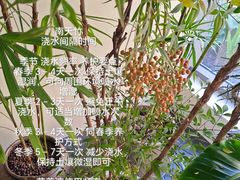 -回龙观体育文化公园