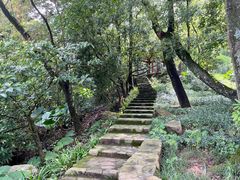 -广州市石门国家森林公园