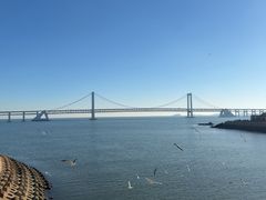 -星海湾跨海大桥
