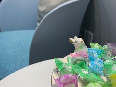 -牙博士口腔品牌连锁(杨浦店)