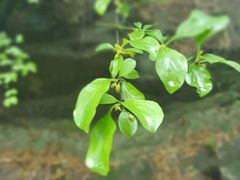 -会稽山峡洞漂流-上青古道