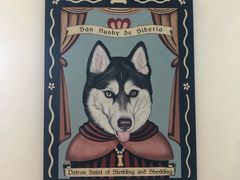 -Husky Go! 哈士奇体验馆·宠物咖啡厅狗咖