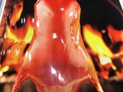 -紫光园·烤鸭(吕家营店)