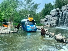 -北京野生动物园