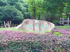 -赭山公园