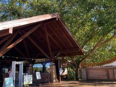 -东寨港红树林旅游区