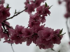 -玄武湖景区-情侣园游乐场