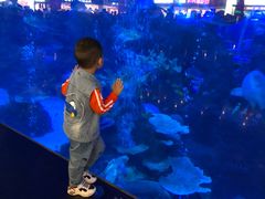 -成都浩海立方海洋公园