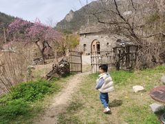 -青龙山生态文化旅游区(慈云寺)