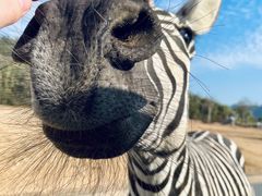 -杭州野生动物世界