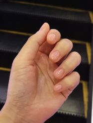 -ALNL清莲爱丽