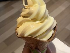 梅酒双炫花筒-肯德基(天鹅湖万达店)