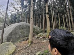 -大围山国家森林公园