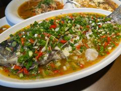 -飞虹鱼馆(南湖店)