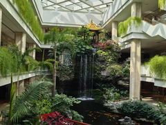 -广州白天鹅宾馆