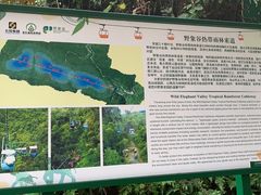 -野象谷景区