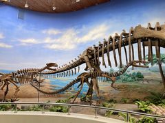 -延庆地质公园博物馆