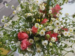 -白鹭湾湿地公园