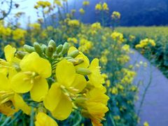 android_upload_pic-广州市石门国家森林公园