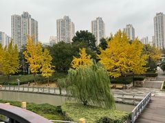 -苏州河梦清园环保主题公园