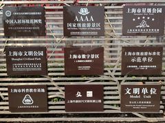 -顾村公园