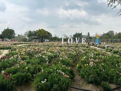 -广东花都香草世界旅游度假区