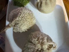 -蔡记·九米羊肉炉(东渡店)