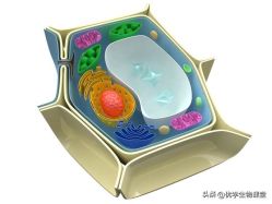 -壹加壹医疗美容·轻医美·美容外科