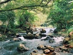 -广州市石门国家森林公园