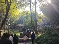-峙山公园