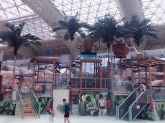 -杭州开元森泊度假乐园