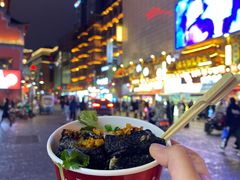 -黑色经典臭豆腐·湖南特产(坡子街店)