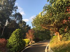 -西昌邛海湿地酒店