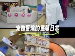 -瑞派蒂凯宠物医院·免疫点·宠保定点