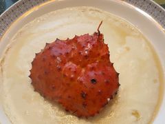 -顺轩海鲜火锅酒家