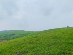 -恋山坝上草原