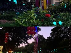 -东南花都花博园