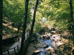 -藏龙百瀑风景区