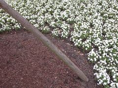 -上海市龙华烈士陵园