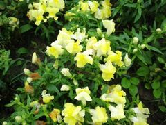 -长春公园(普阳街道)