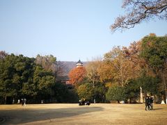 -灵谷景区