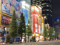 -秋叶原电器街